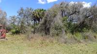 23170 N River Rd, Alva, FL 33920