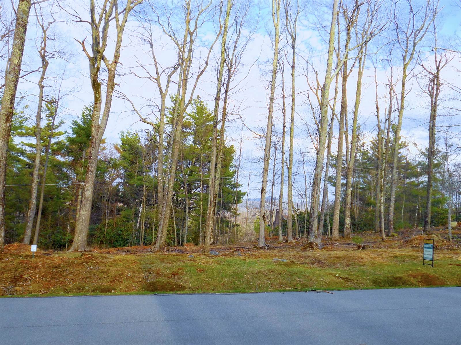 Lot 20 Boulder Cay Road, Boone, NC 28607