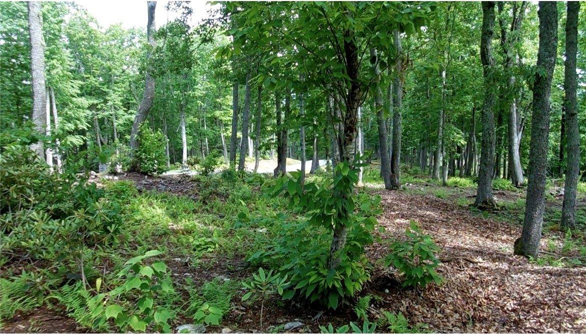Lot 20 Boulder Cay Road, Boone, NC 28607
