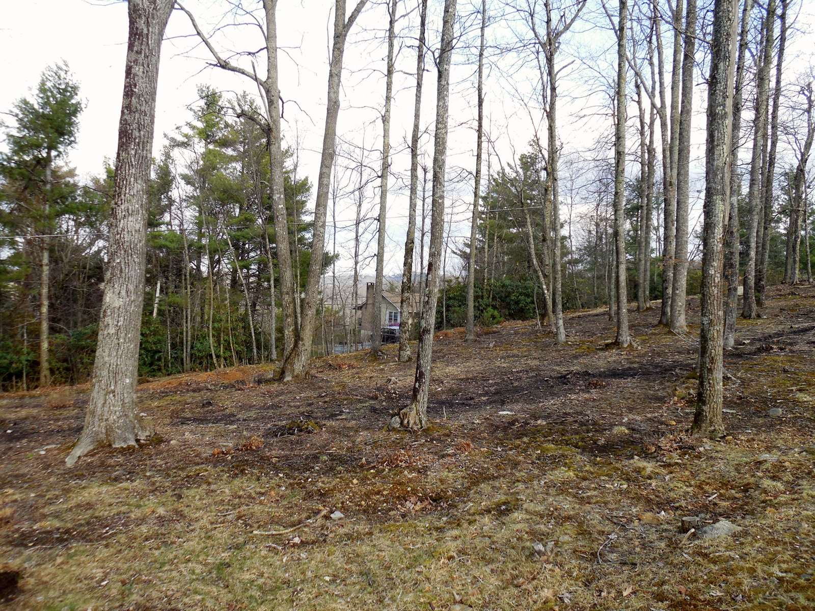 Lot 20 Boulder Cay Road, Boone, NC 28607