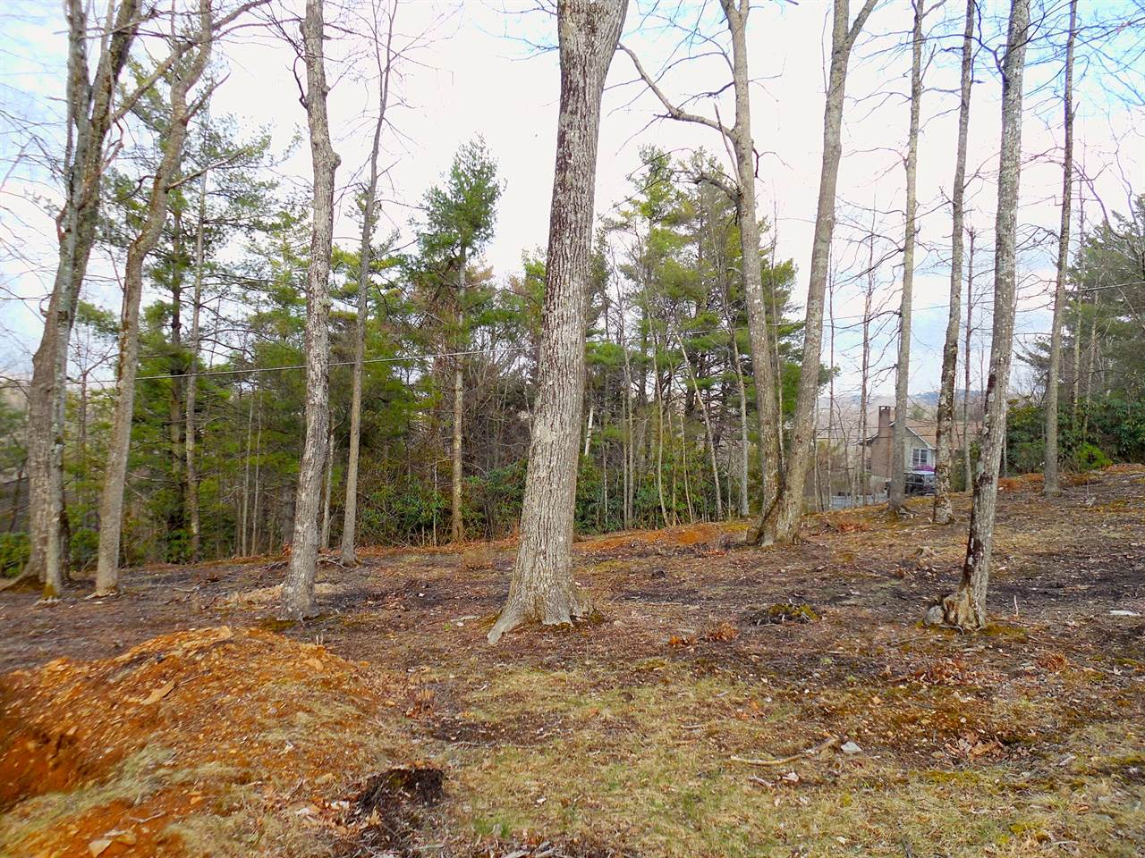 Lot 20 Boulder Cay Road, Boone, NC 28607