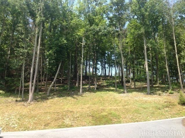 Lot 24 Boulder Cay Road, Boone, NC 28607