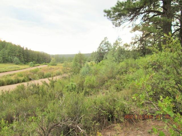 945 Badger Road, Pagosa Springs, CO 81147