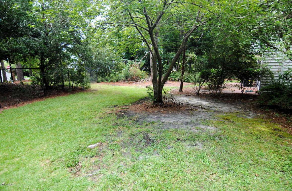 227 Dapple Court, Wilmington, NC 28403