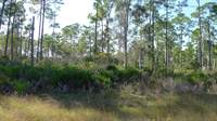 15133 Martinique Way, Bokeelia, FL 33922