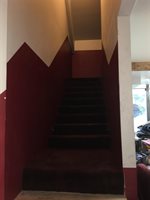 203 Thompson Heights Ct, Bowling Green, KY 42101