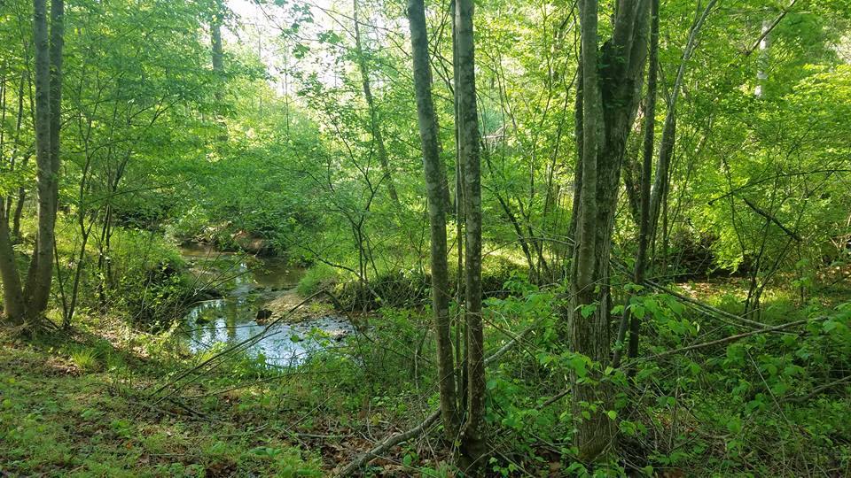 Lot 4 Trents Landing, Lynchburg, VA 24501