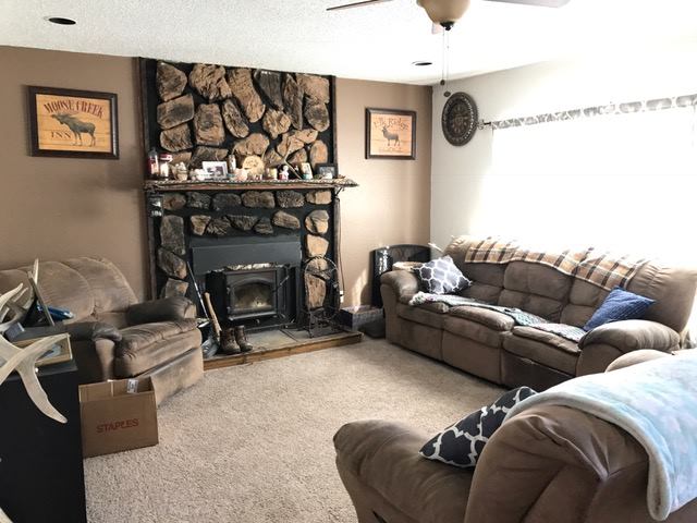 172 Pike Dr., Pagosa Springs, CO 81147