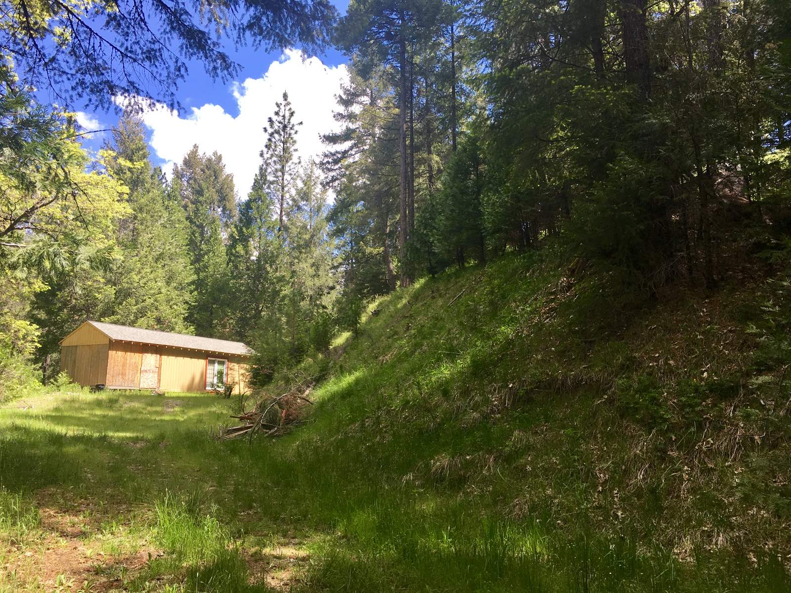 4885 Artic Lane, Grizzly Flats, CA 95636