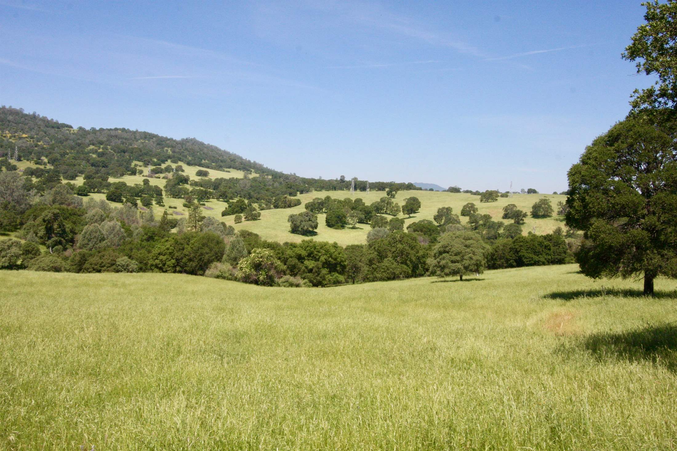 Brower Ranch, Angels Camp, CA 95222