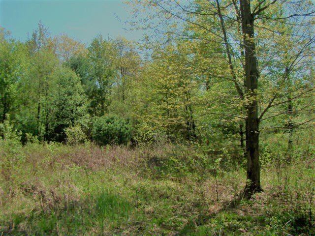 3.22 Acres N 64TH STREET, Wisconsin Rapids, WI 54494