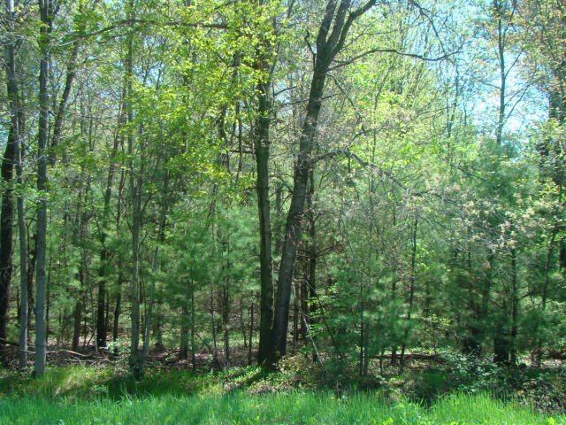 3.22 Acres N 64TH STREET, Wisconsin Rapids, WI 54494