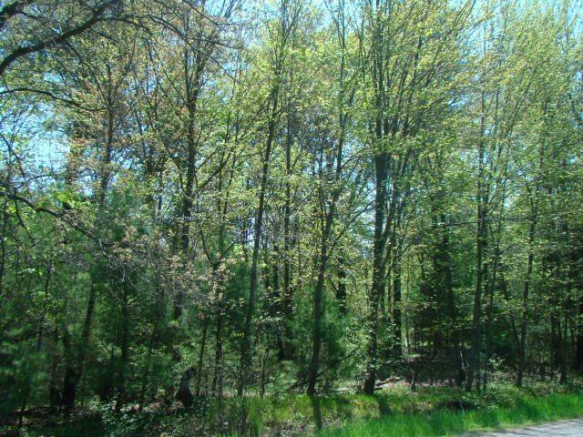 3.22 Acres N 64TH STREET, Wisconsin Rapids, WI 54494