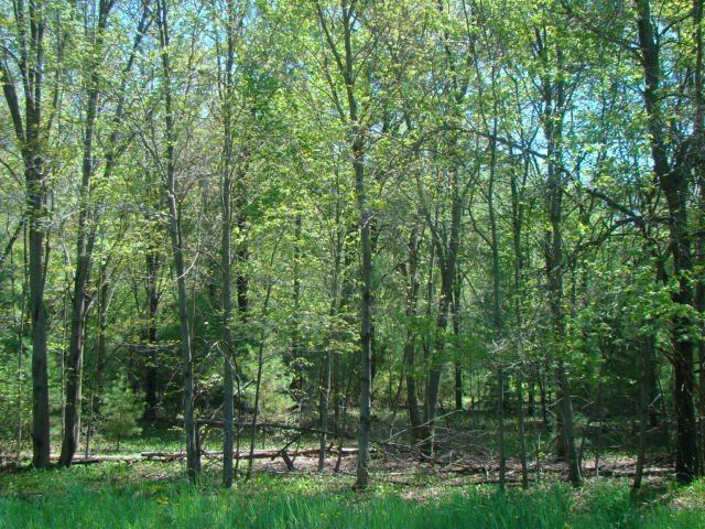 3.22 Acres N 64TH STREET, Wisconsin Rapids, WI 54494