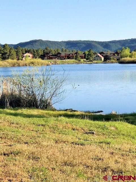 45 Northshore Circle, Pagosa Springs, CO 81147