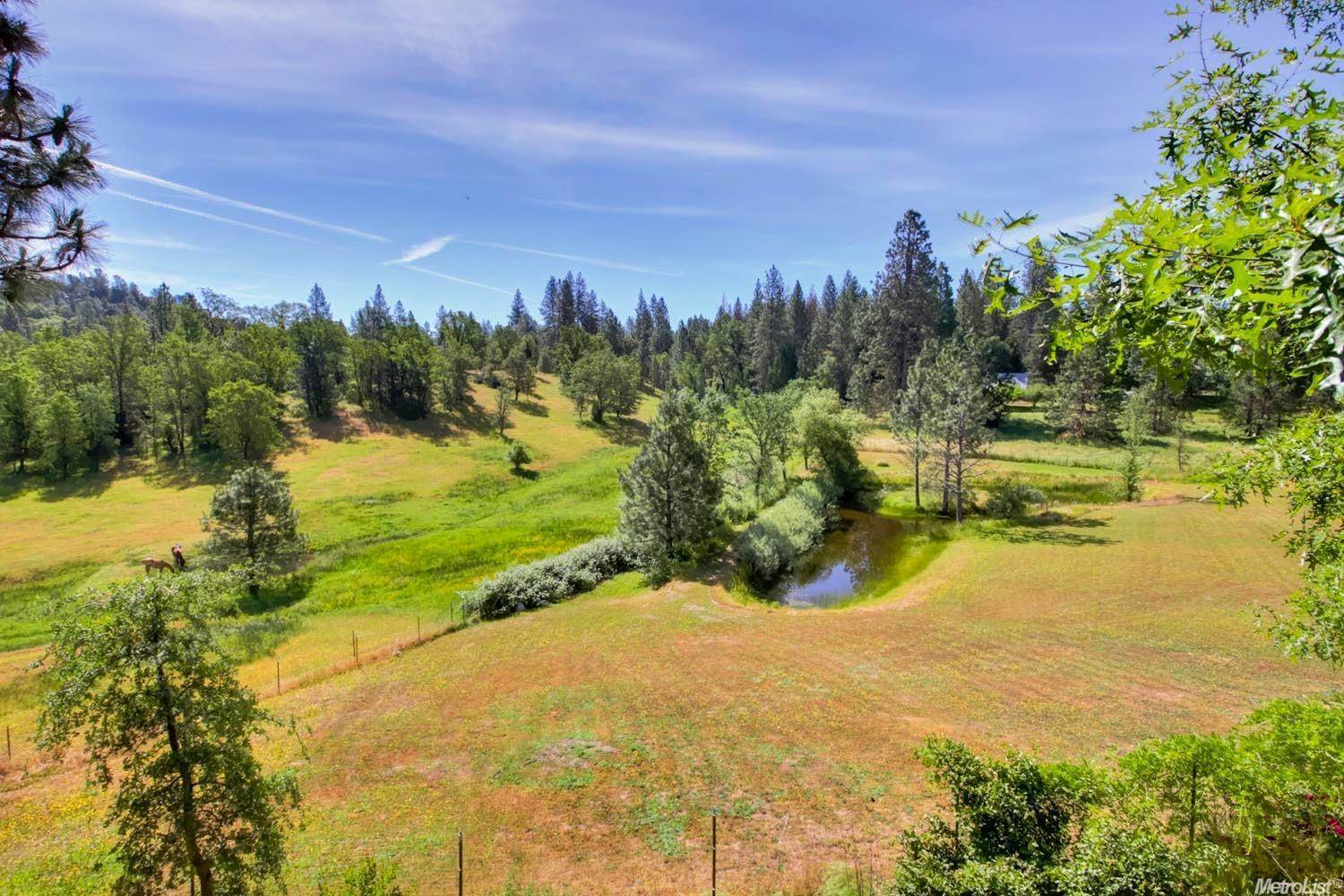 4032 Dove Lane, Placerville, CA 95667