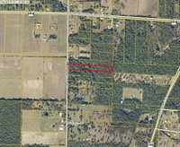 0 Griffith Mill Road, Holt, FL 32564