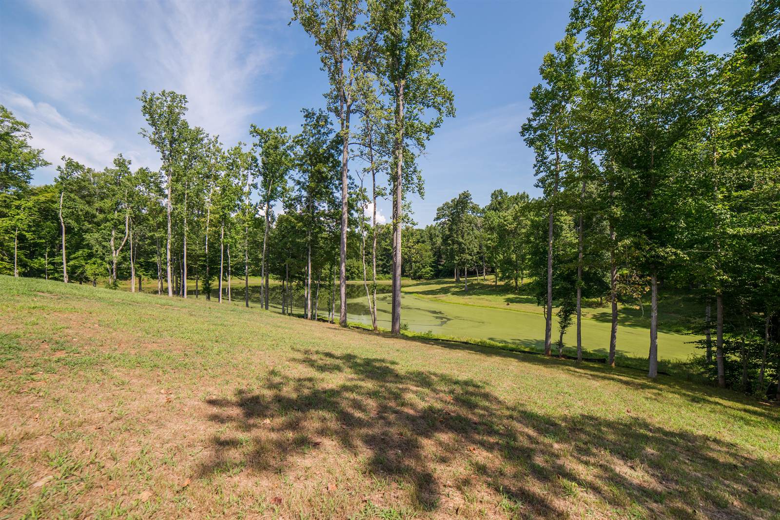 1453 Willow Oak Drive, Forest, VA 24551