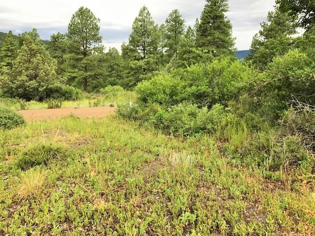 241 Franklin Place, Pagosa Springs, CO 81147