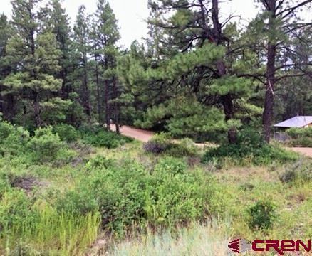 241 Franklin Place, Pagosa Springs, CO 81147