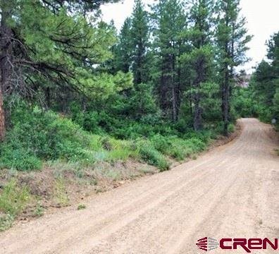 241 Franklin Place, Pagosa Springs, CO 81147