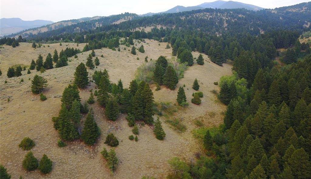 Lot 3B Gold Dust Road, Bozeman, MT 59715