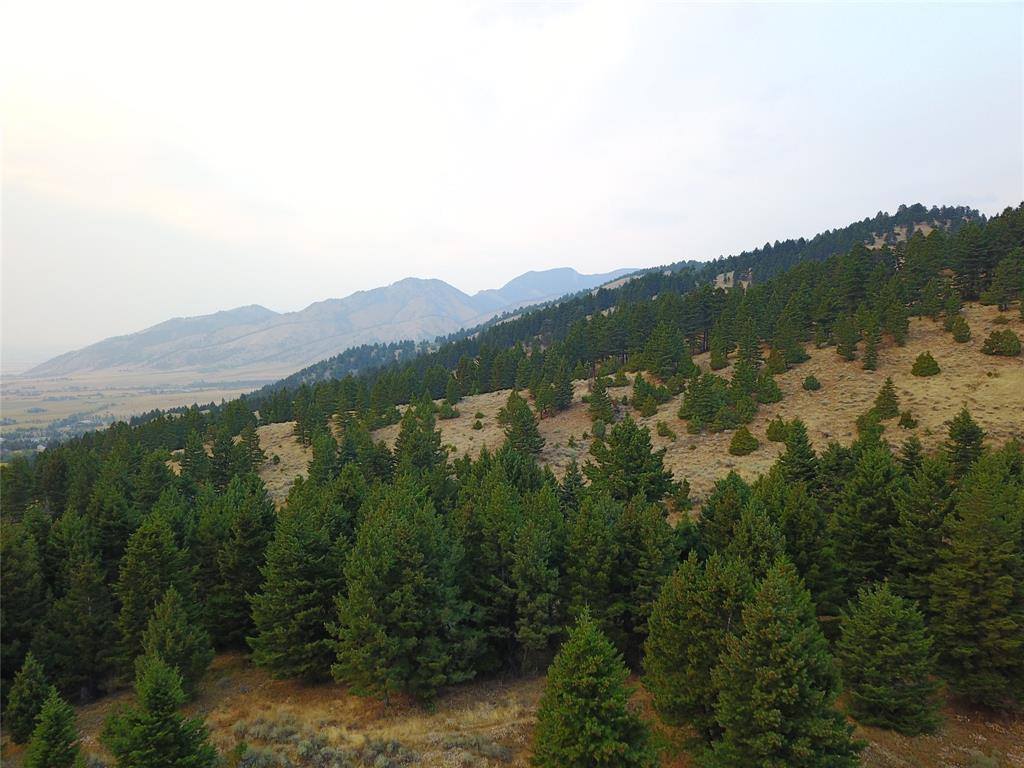 Lot 3B Gold Dust Road, Bozeman, MT 59715