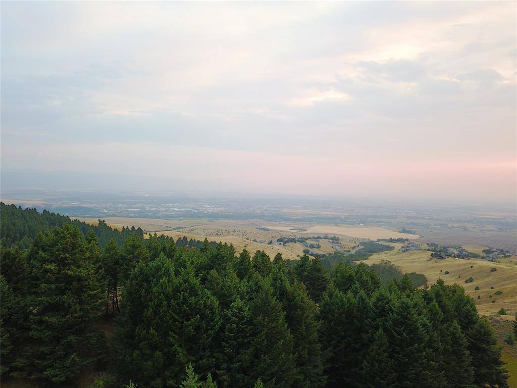 Lot 3B Gold Dust Road, Bozeman, MT 59715