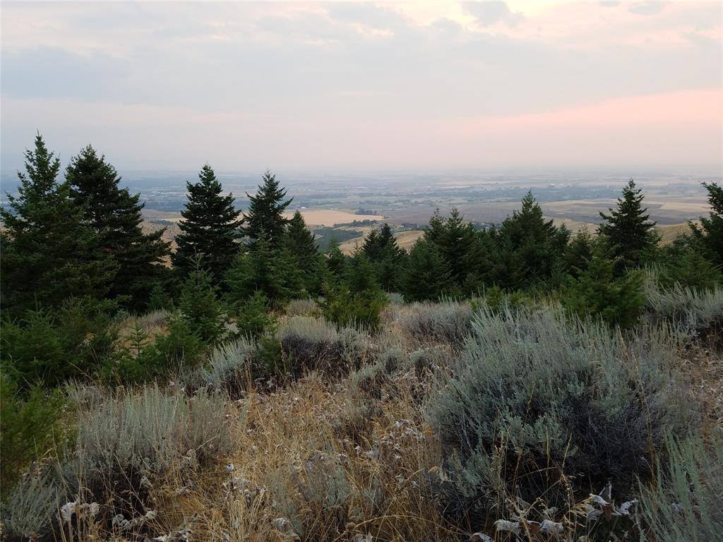 Lot 3B Gold Dust Road, Bozeman, MT 59715