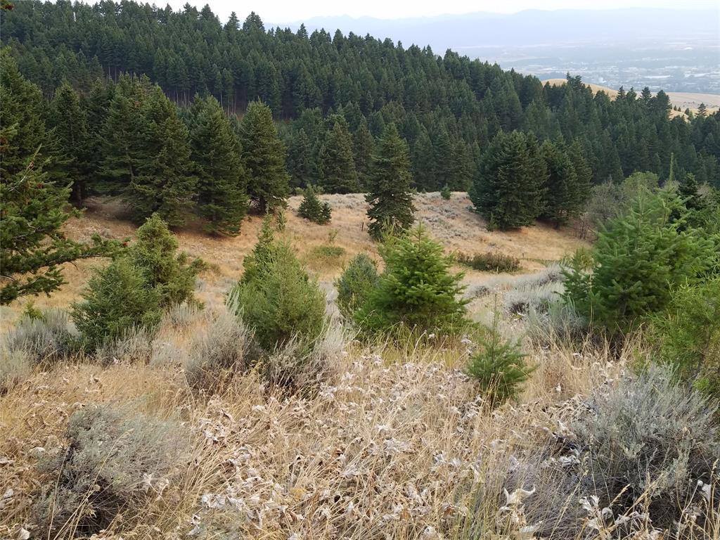 Lot 3B Gold Dust Road, Bozeman, MT 59715