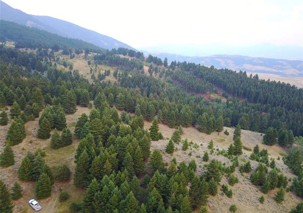 Lot 3B Gold Dust Road, Bozeman, MT 59715