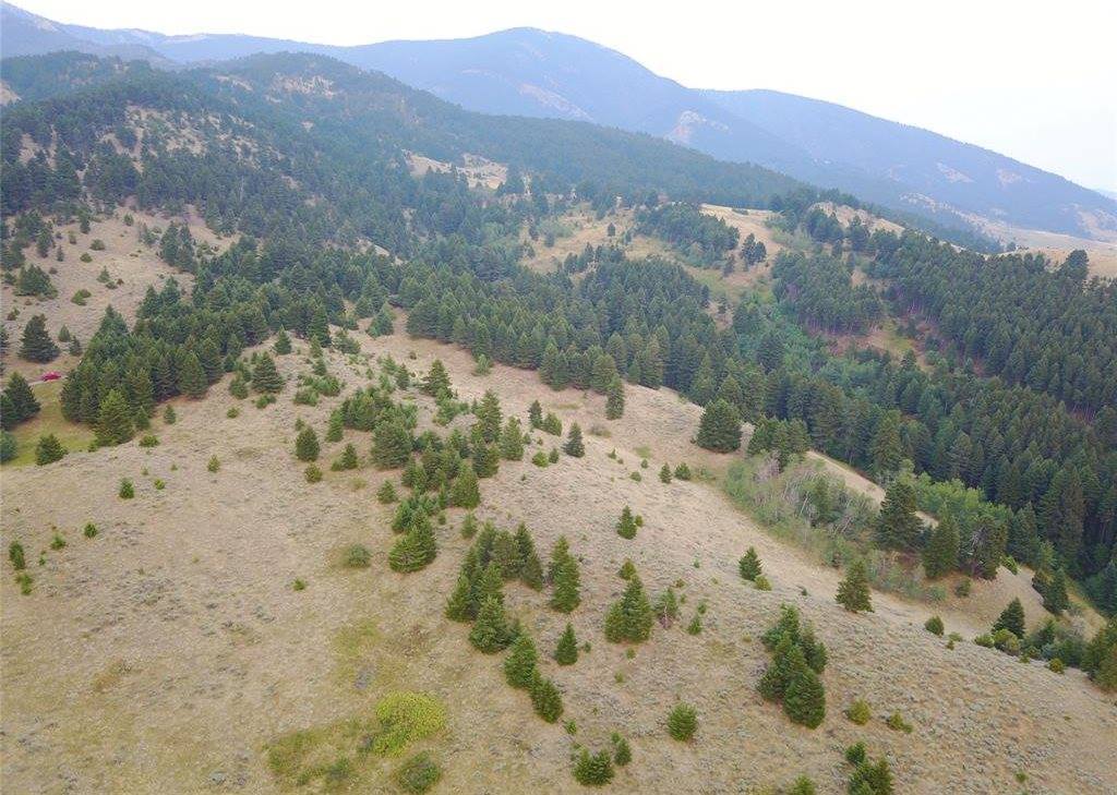 Lot 3B Gold Dust Road, Bozeman, MT 59715