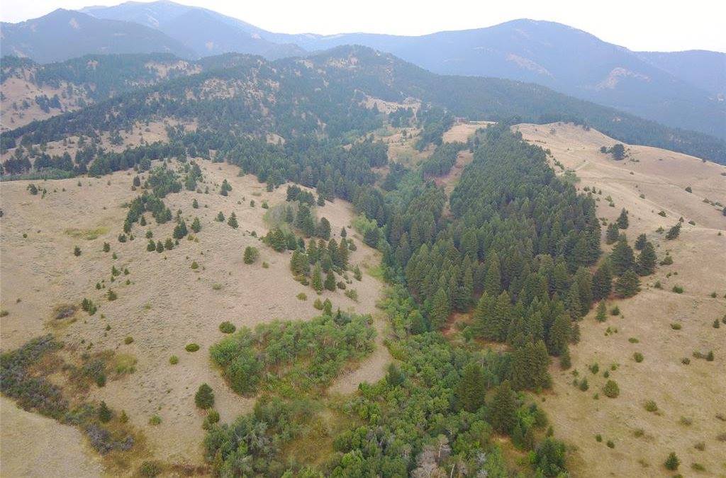 Lot 3B Gold Dust Road, Bozeman, MT 59715