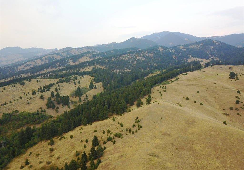 Lot 3B Gold Dust Road, Bozeman, MT 59715