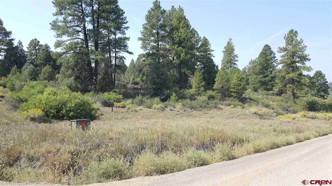 268 Hurt Lane, Pagosa Springs, CO 81147