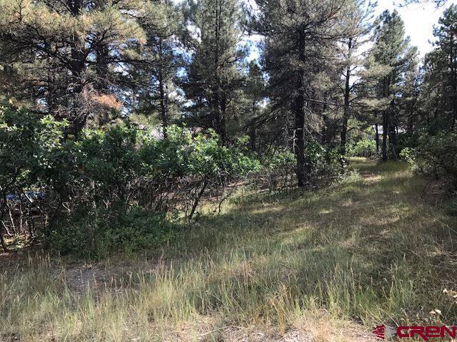 34 N Emissary Ct, Pagosa Springs, CO 81147