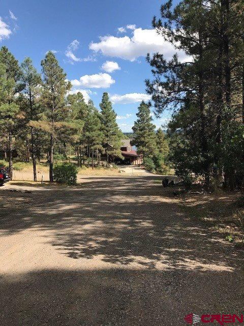 34 N Emissary Ct, Pagosa Springs, CO 81147