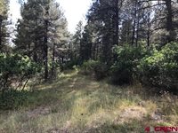 34 N Emissary Ct, Pagosa Springs, CO 81147