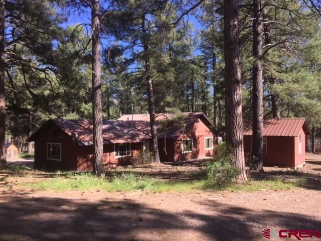 338 Cactus Drive, Pagosa Springs, CO 81147