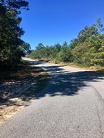 Lot 4 Horseshoe Circle, Miramar Beach, FL 32550