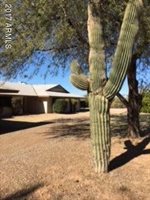 43508 North Jackrabbit Road, San Tan Valley, AZ 85140