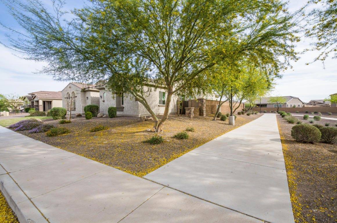 18287 West Sells Drive, Goodyear, AZ 85395