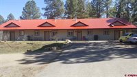 33 Bienvenido, Pagosa Springs, CO 81147