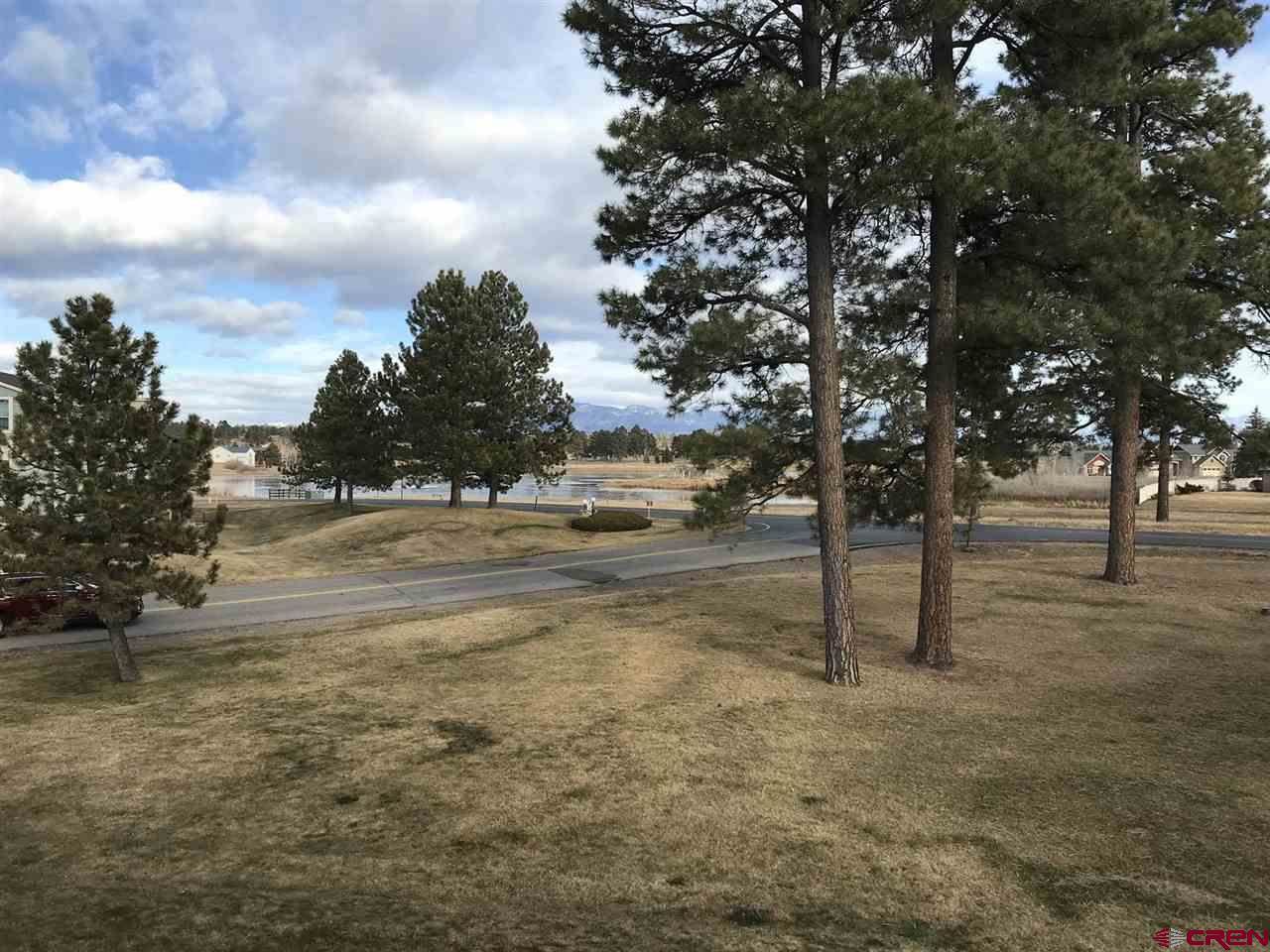 40 Valley View, #3153, Pagosa Springs, CO 81147