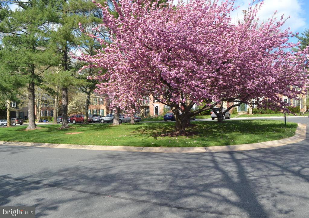 9922 Tambay Court, Montgomery Village, MD 20886