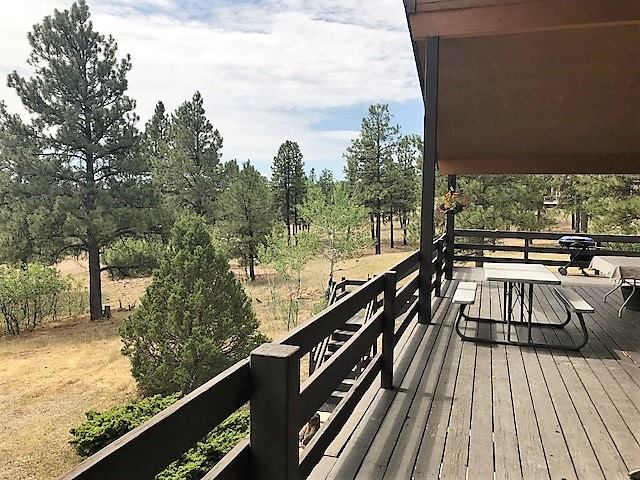 139 S Squaw Canyon Place, Pagosa Springs, CO 81147