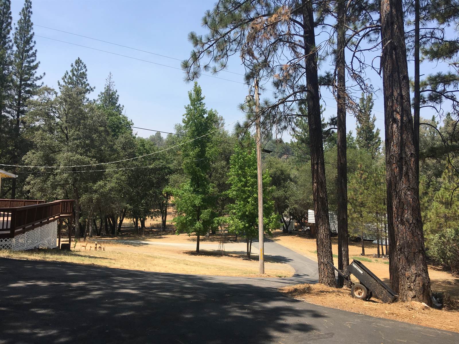 4560 Bull Head Lane, Placerville, CA 95667