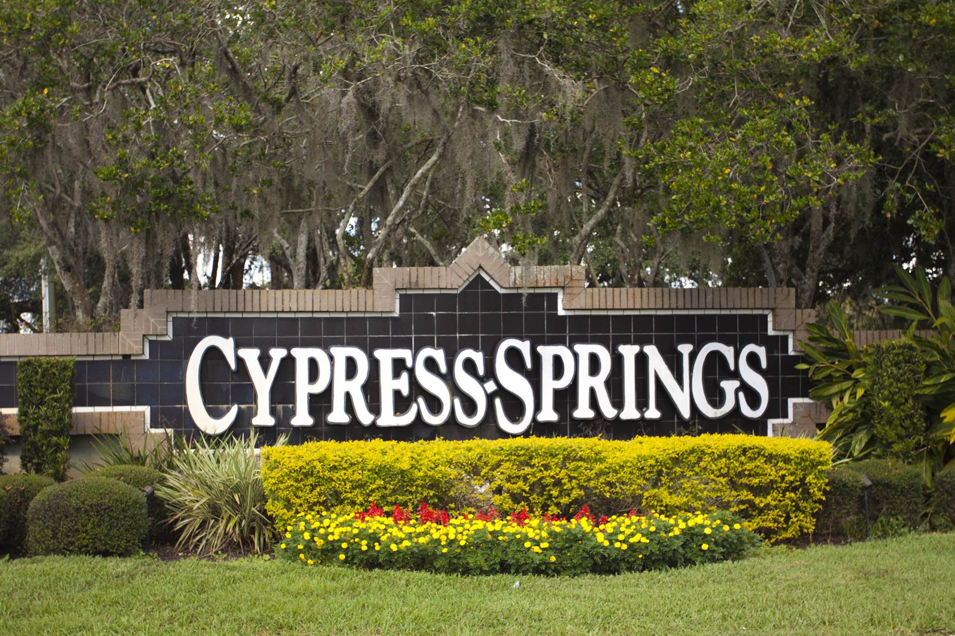 11032 Dawnview Lane, Orlando, FL 32825