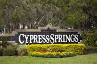 11032 Dawnview Lane, Orlando, FL 32825