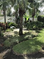 11032 Dawnview Lane, Orlando, FL 32825